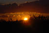 908 Sunset